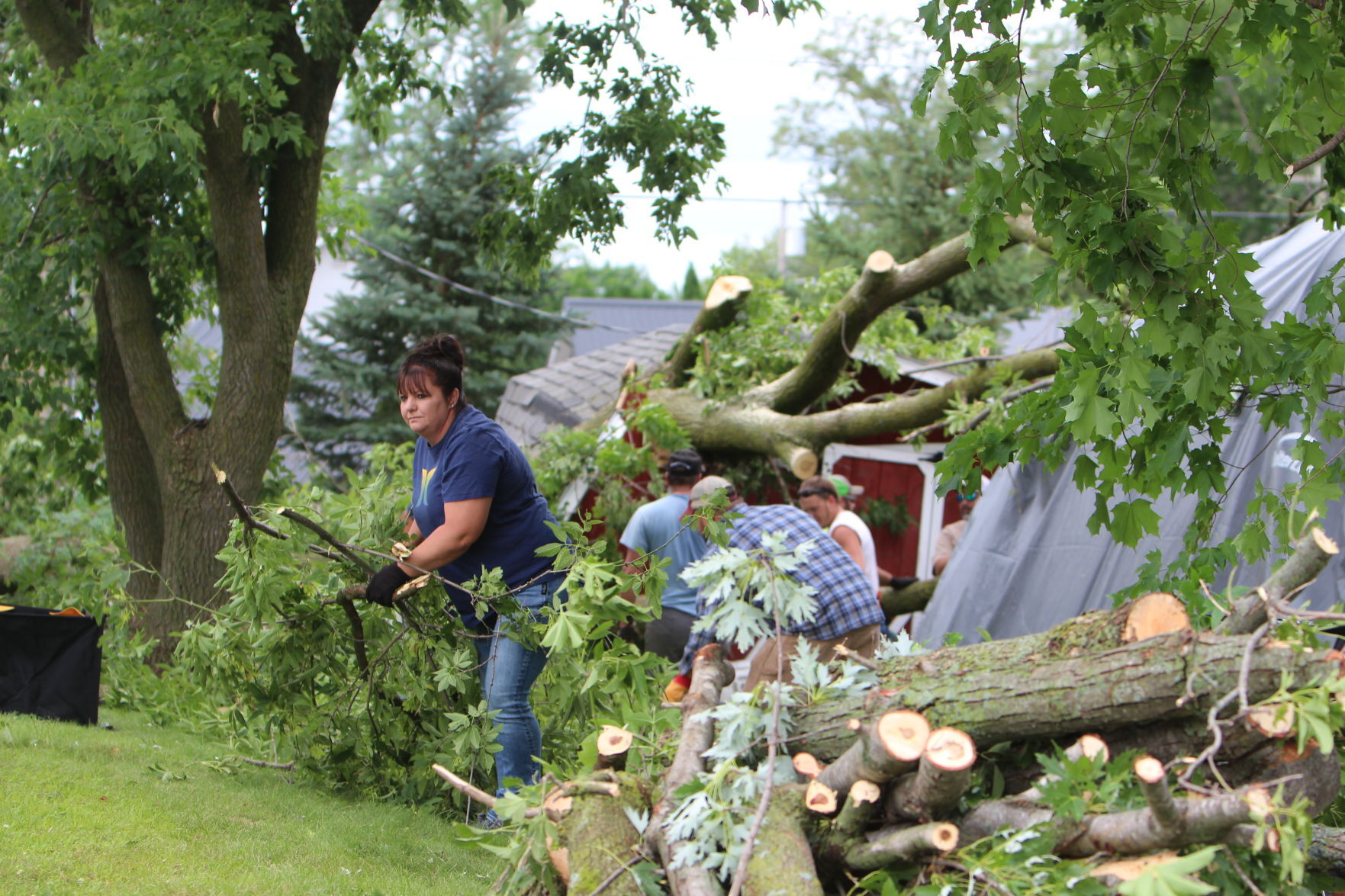 Tornado damage